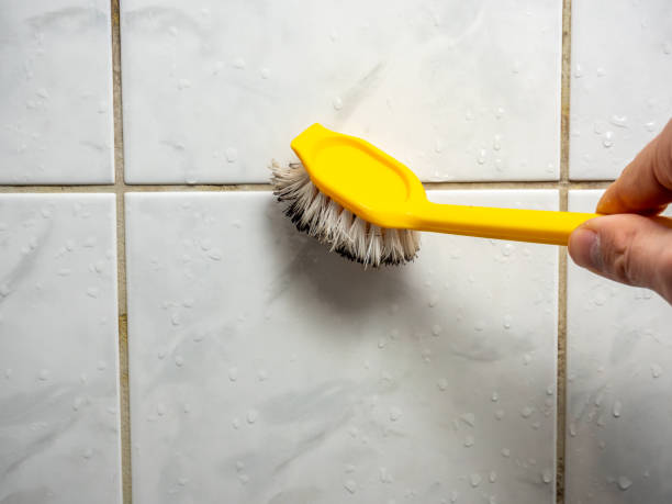 Best Mold Testing  in Mokena, IL
