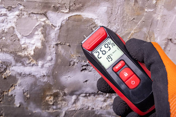 Best Affordable Mold Removal  in Mokena, IL