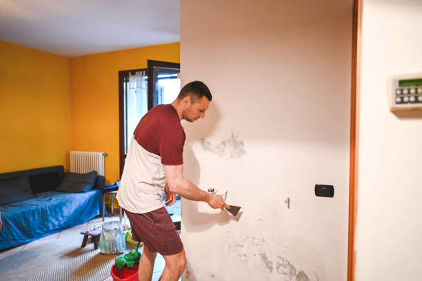 Best Water Damage Restoration  in Mokena, IL